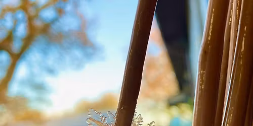 Beginners Willow Angels at Ryton Pools Country Park