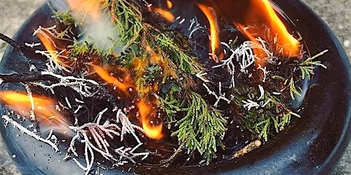 The fresh flavors of juniper - meals, medicine, and drink