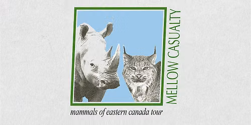 Mammals of Eastern Canada: Quebec