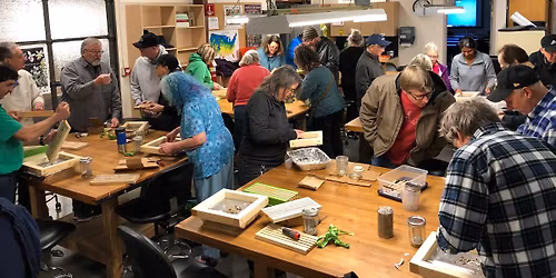 Mason Bee cocoon cleaning workshop