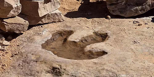 Footprints by 826 Michigan