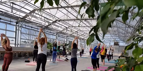 Yoga in the Greenhouse