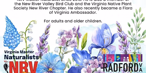 All About Hummingbirds w\/ Virginia Master Naturalists