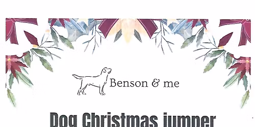 Dog Christmas Jumper Meet by Benson & Me