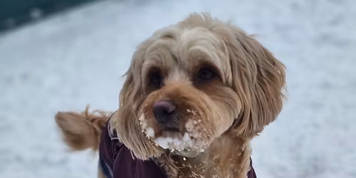 Grunnferdigheter | Asker | Poverud Poter 