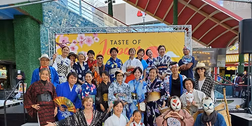 Taste of Japan 🇯🇵🍜🍣🦑🍺🍰de Bon Odori 🏮👘🎄