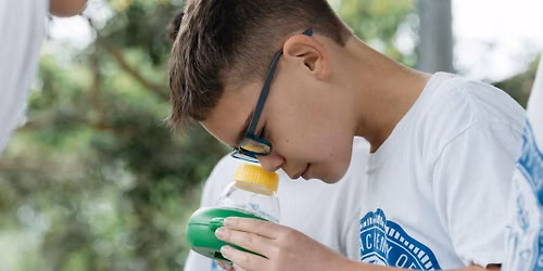 Homeschool Day: It\u2019s a Bug\u2019s Life!