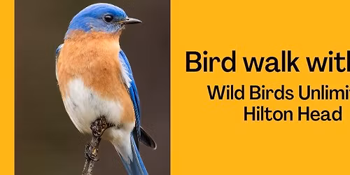Mindful Bird Walk