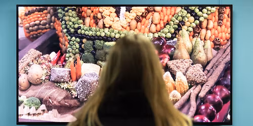 Background Evening - Seeds of Plenty