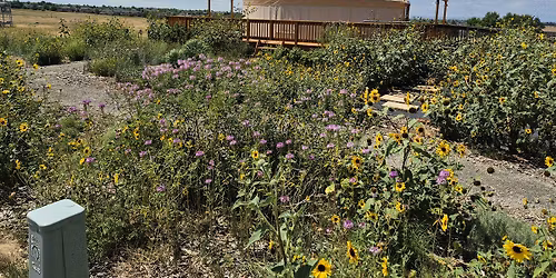 Native Plant Gardening Through the Seasons