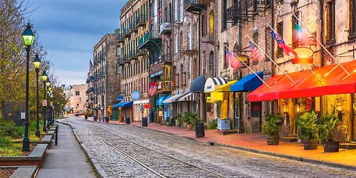 Solve Savannah\u2019s secrets with an enchanting escape game!
