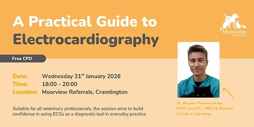 A Practical Guide to Electrocardiography