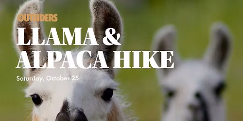 Llama & Alpaca Hike October 2025