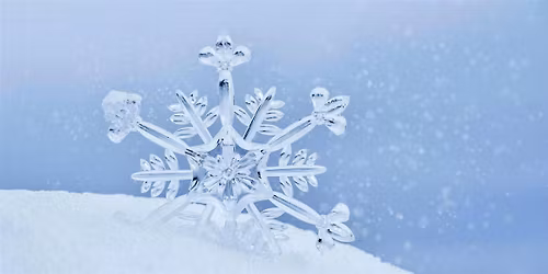 Sapphic Social: Girls in Winterland Edition