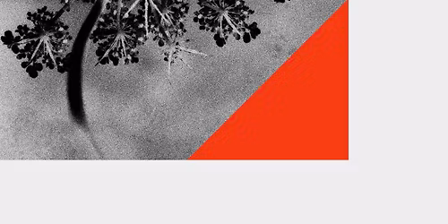 fi x Rosenmontag Ben Klock & Brutalism & Hyperlove