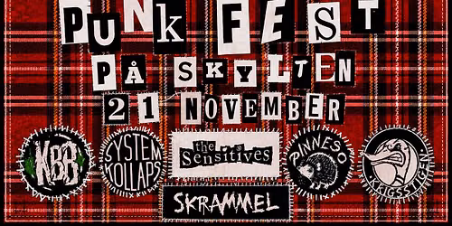 PUNK FEST P\u00c5 SKYLTEN