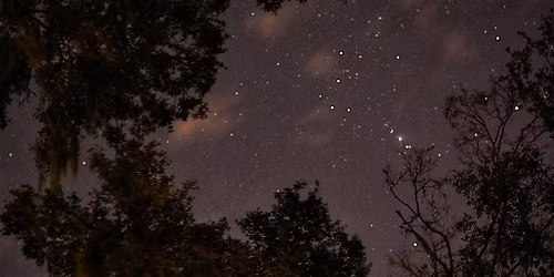 Night Hike in the Preserve