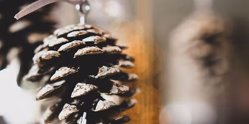 Naze Festive Crafts and Winter Trail