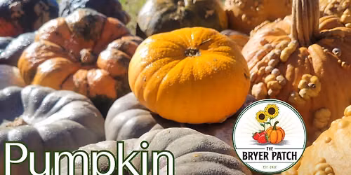 Pumpkin Homeschool Day at The Bryer Patch