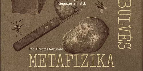 \u201eBulv\u0117s metafizika\u201c, re\u017eisierius Orestas Razumas. Projektas (ne)Rezervuota.