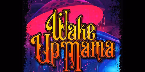 Local Artist Series: Wake Up Mama - An Allman Brothers Tribute