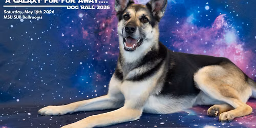 Dog Ball - A Galaxy Fur Fur Away