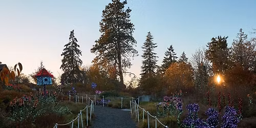 Garden d'Lights Senior Social