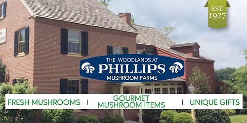 Meet the Mushrooms: Agaricus