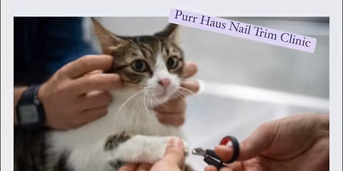 Nail Trim Clinic with Any Pet Groomed