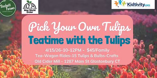 Teatime with the Tulips