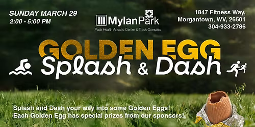 Golden Egg Splash and Dash \ud83e\udeba\ud83d\udc30