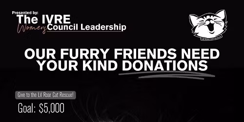 Caturday Adoption Fundraiser - Lil Roar Cat Rescue