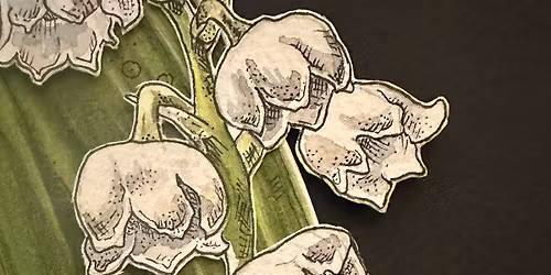 Kristina\u2019s First Friday Gallery Show