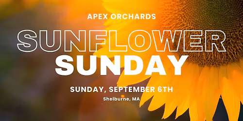 Sunflower Sunday