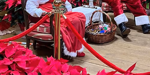 Christmas season trees, wreaths, food, horse carriage rides