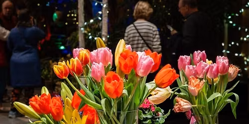 After Hours with the Flowers