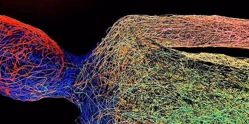 Kunst oder KI: Wer ist der K\u00fcnstler?