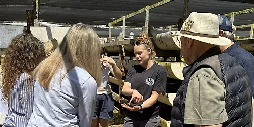 Cultured Abalone Farm "Mini" Walking Tour