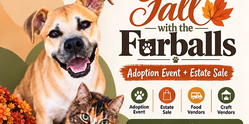 Fall with the Furballs