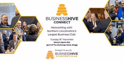 Business Hive Connect Networking Event
