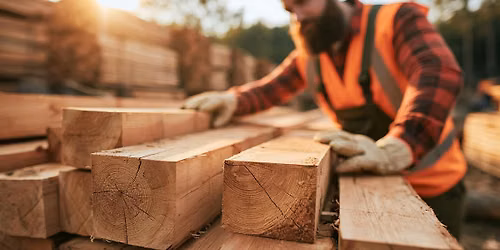 Visual timber grading course