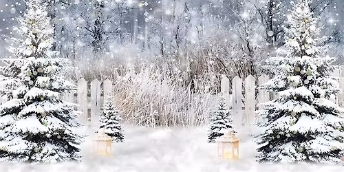 2026 Winter Wonderland Adult Prom