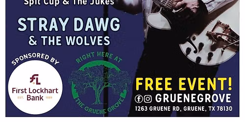 Blues in Gruene music festival 