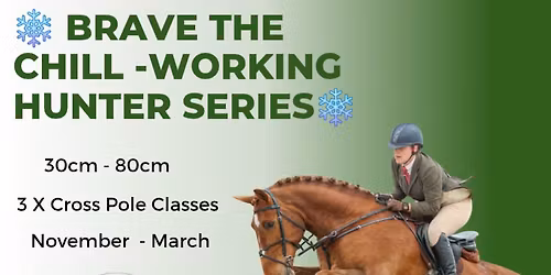 \u2744\ufe0fBRAVE THE CHILL - Christmas Working Hunter Series 2 \u2744\ufe0f