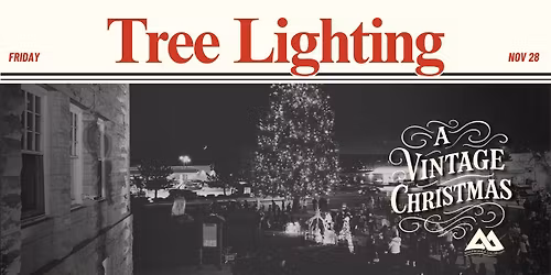 Tree Lighting