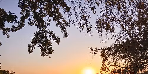 Sunrise Guided Walk at RSPB Arne