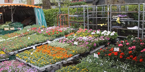 Bl\u00fchendes Schlebusch 2026 mit verkaufsoffenem Sonntag