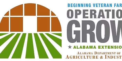 Operation Grow: Bootcamp 2025