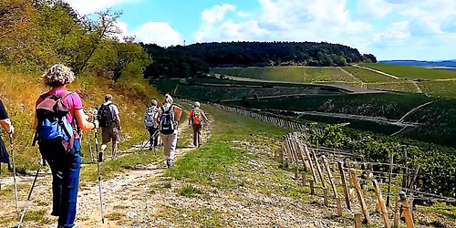 Marche nordique plus casse cro\u00fbte Beaujolais 