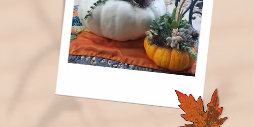 Perfect Pumpkin Planter Workshop